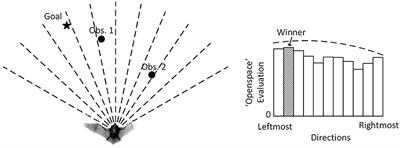 The Curved Openspace Algorithm and a Spike-Latency Model for Sonar-Based Obstacle Avoidance